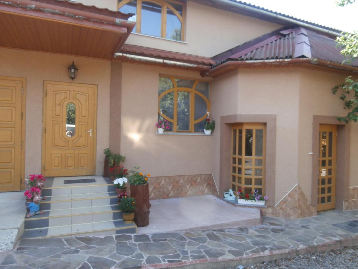 Karpatskiy Domyk Izki Exterior photo